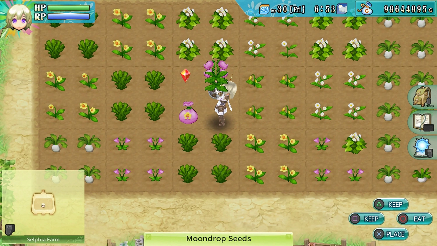 Rune Factory 4 Special