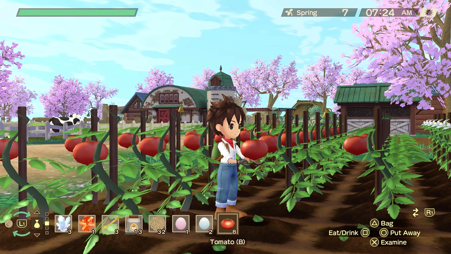 Story of Seasons : A Wonderful life