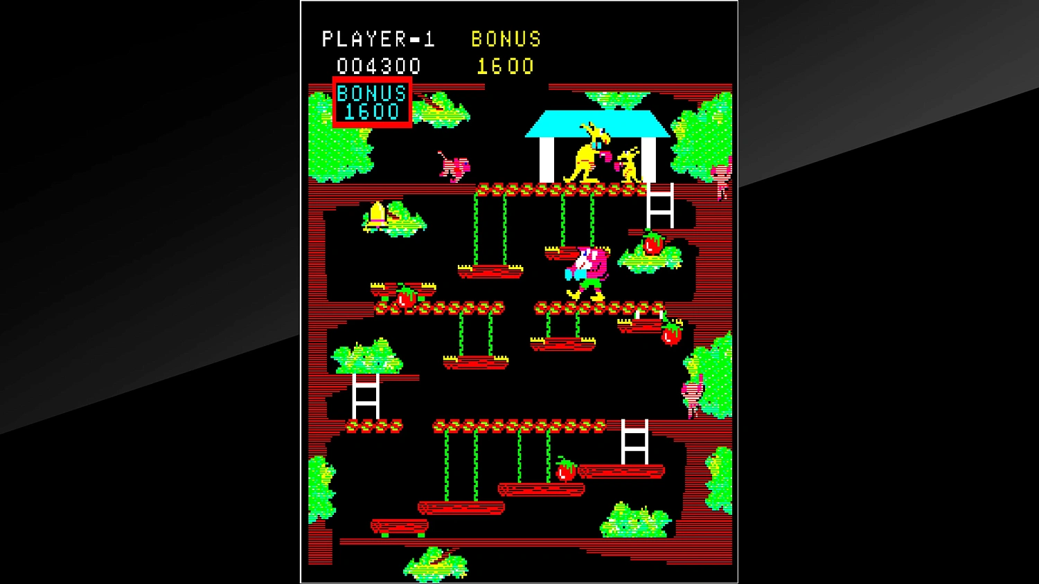 Arcade Archives Kangaroo