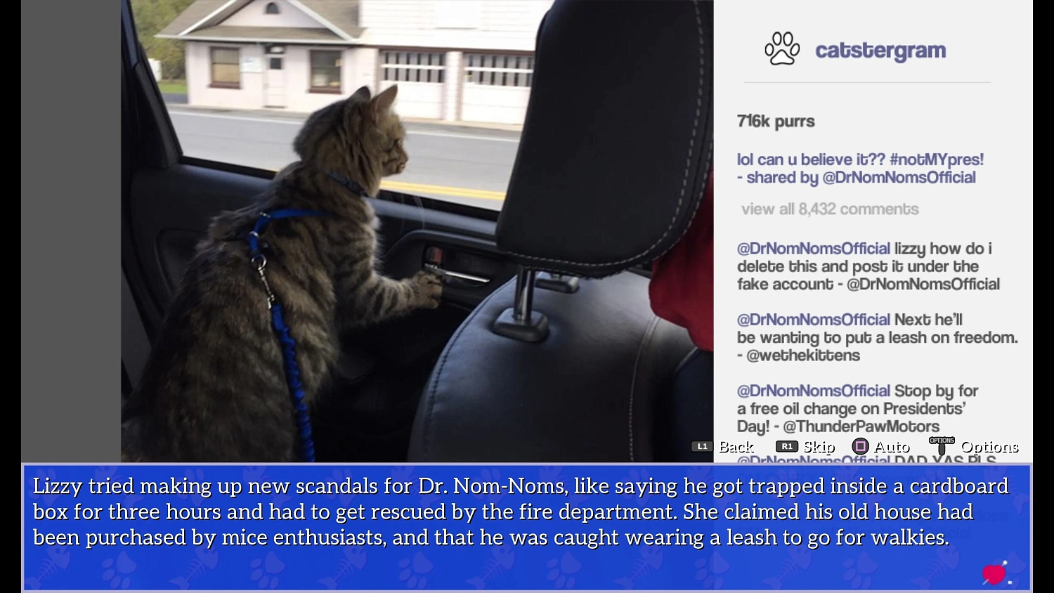 Cat President: A More Purrfect Union