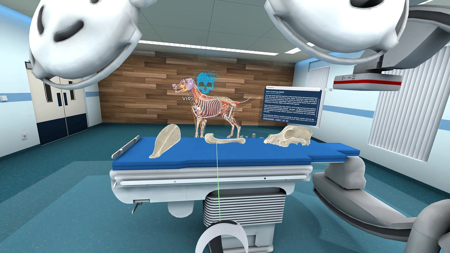 Animal Anatomy VR