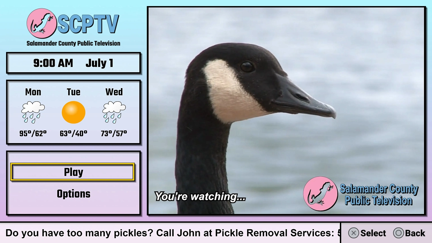 Salamander County Public Television