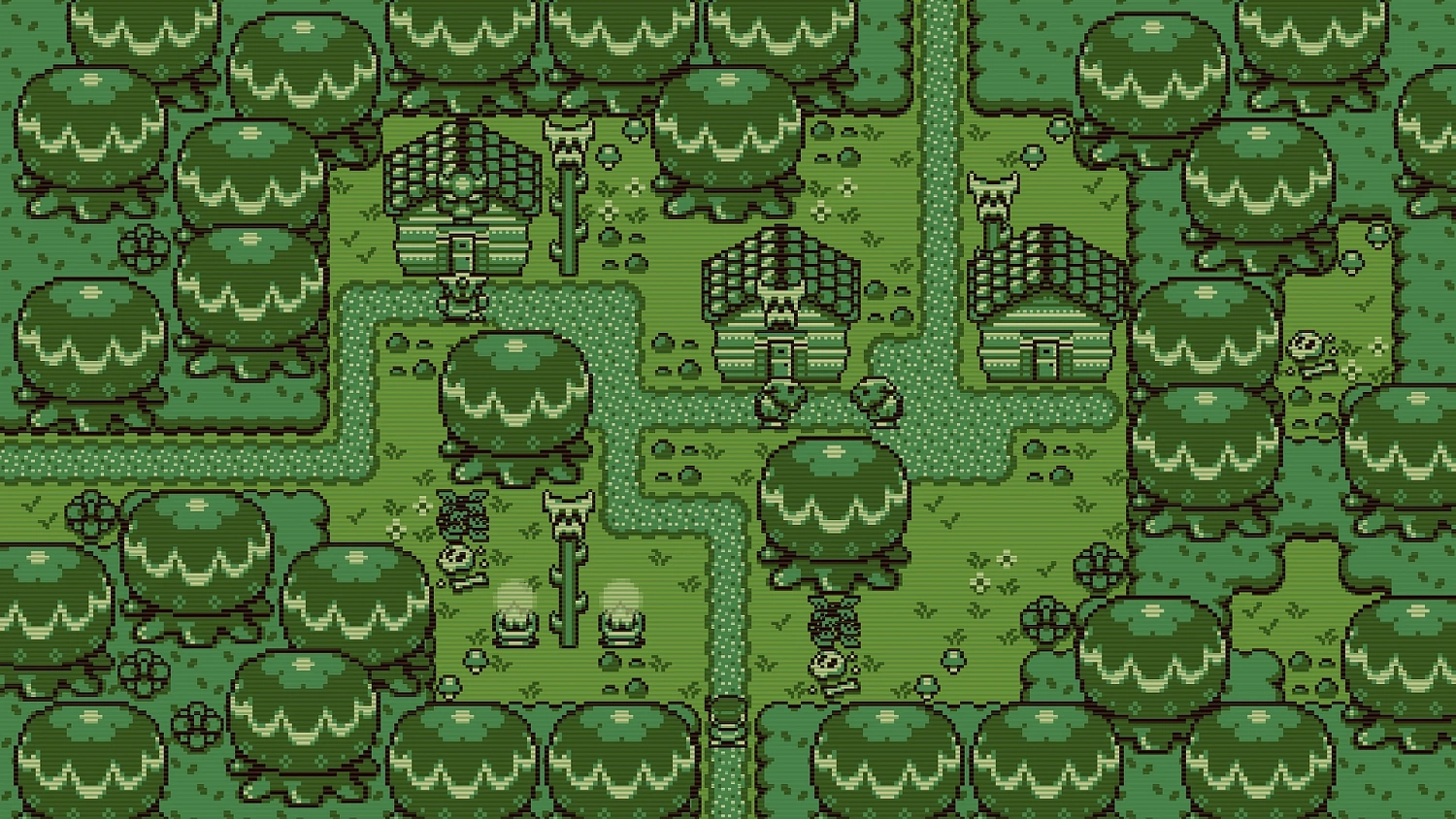 Timothy and the Mysterious Forest