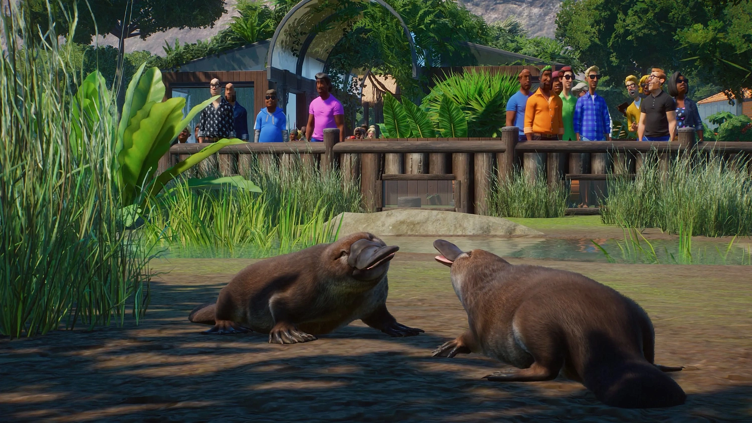 Planet Zoo:  Edición para consola