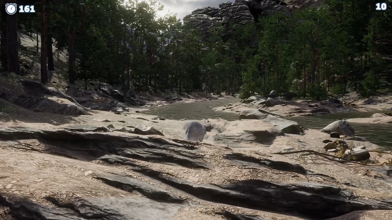 Cazzarion: Raccoon Valley