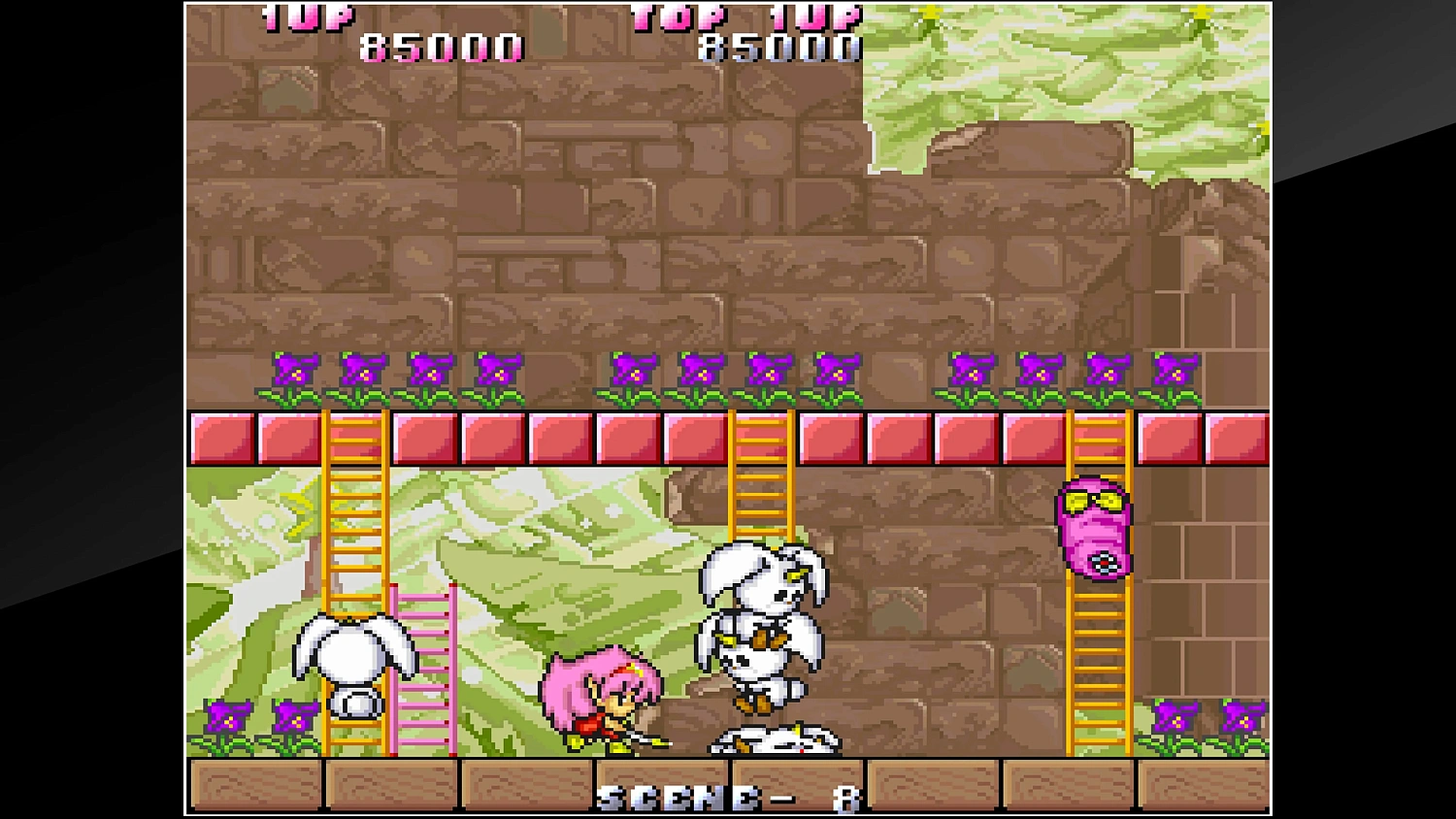 Arcade Archives Rod Landand