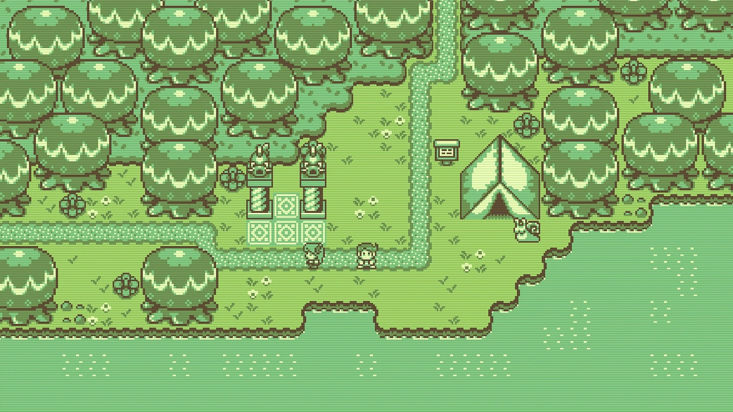 Timothy and the Mysterious Forest