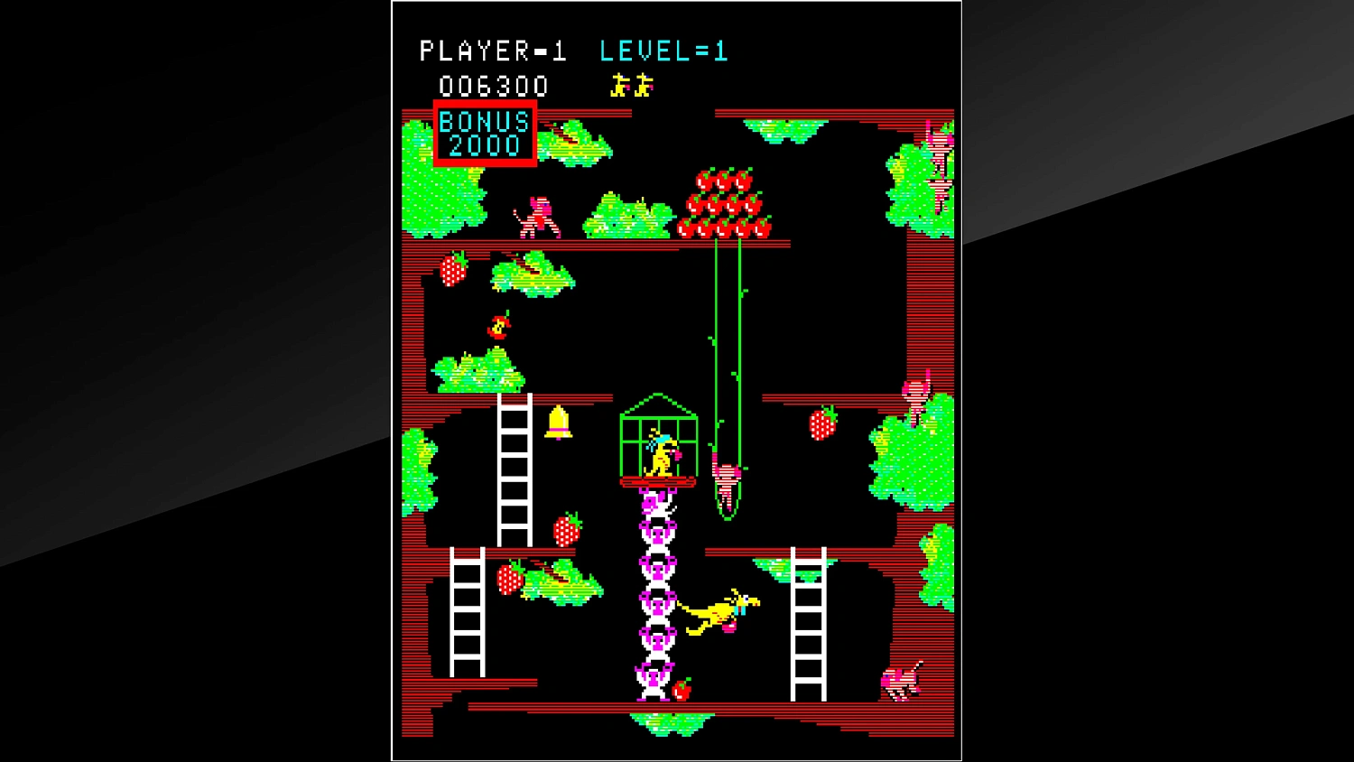 Arcade Archives Kangaroo