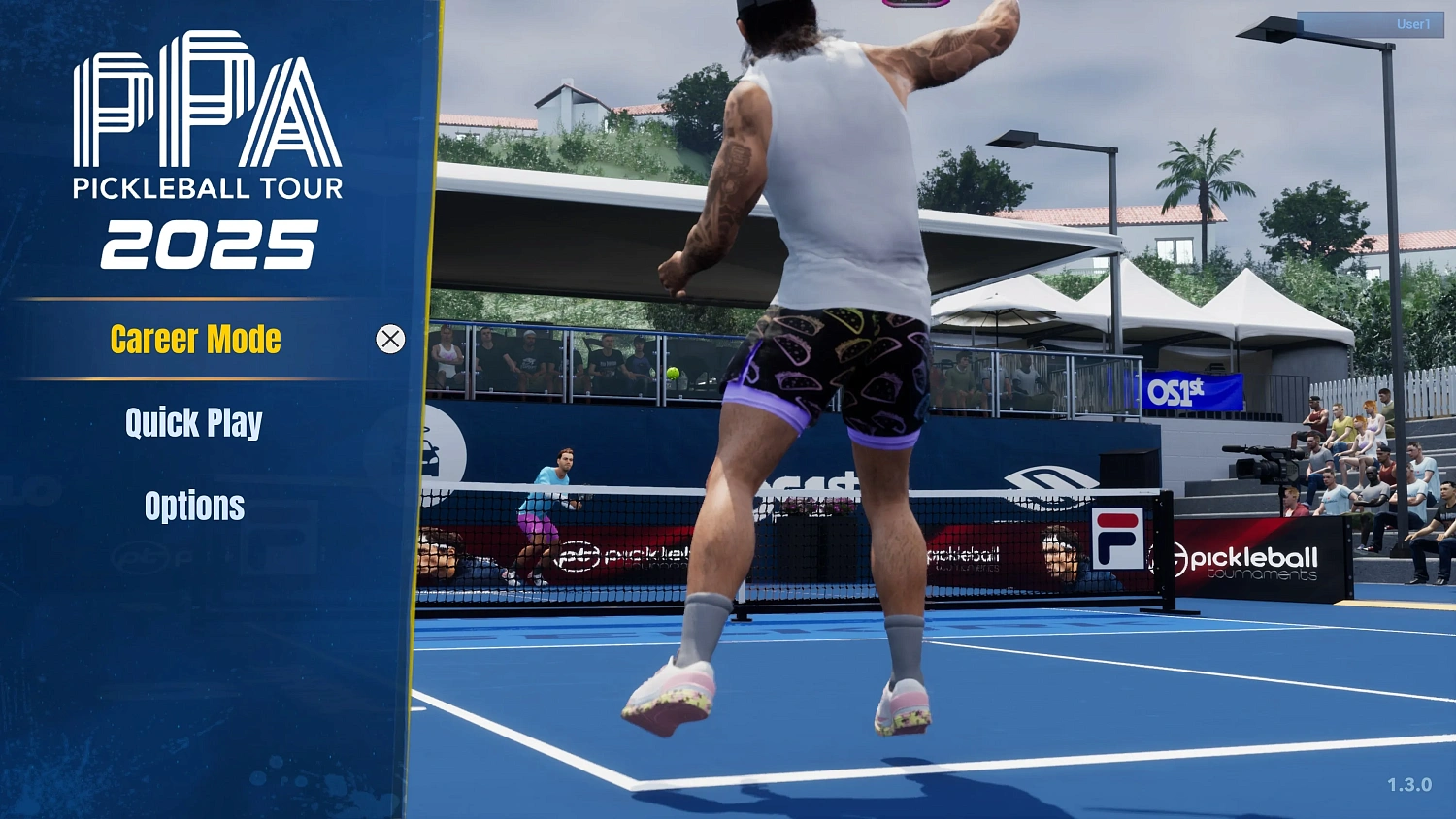 PPA Pickleball Tour 2025