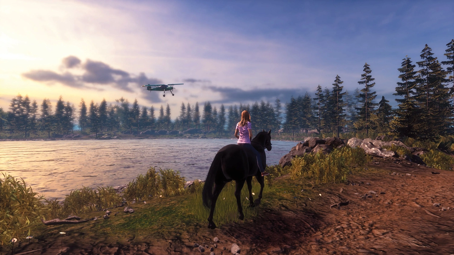 Windstorm: Start of a Great Friendship