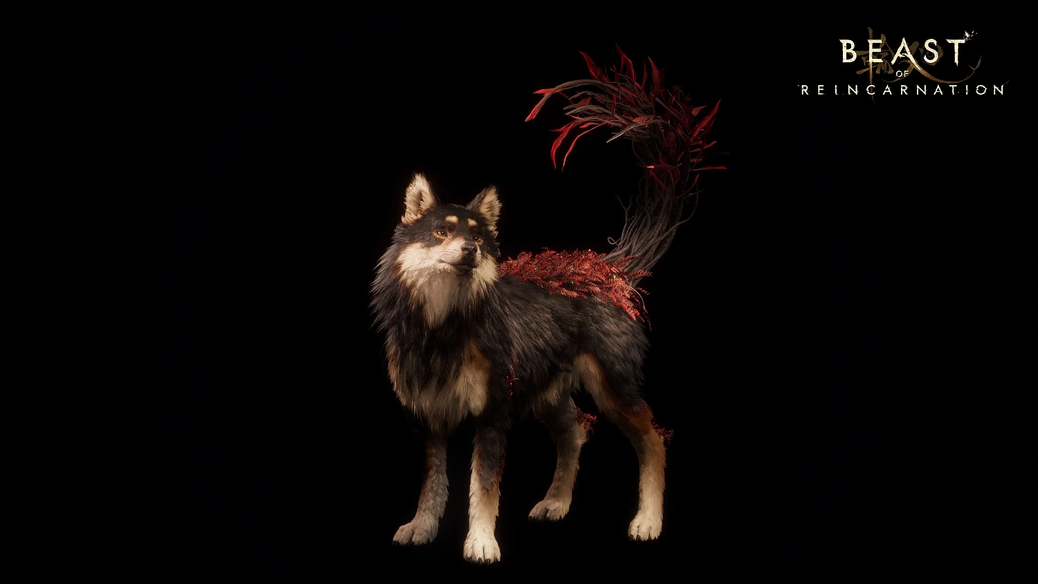 Beast of Reincarnation