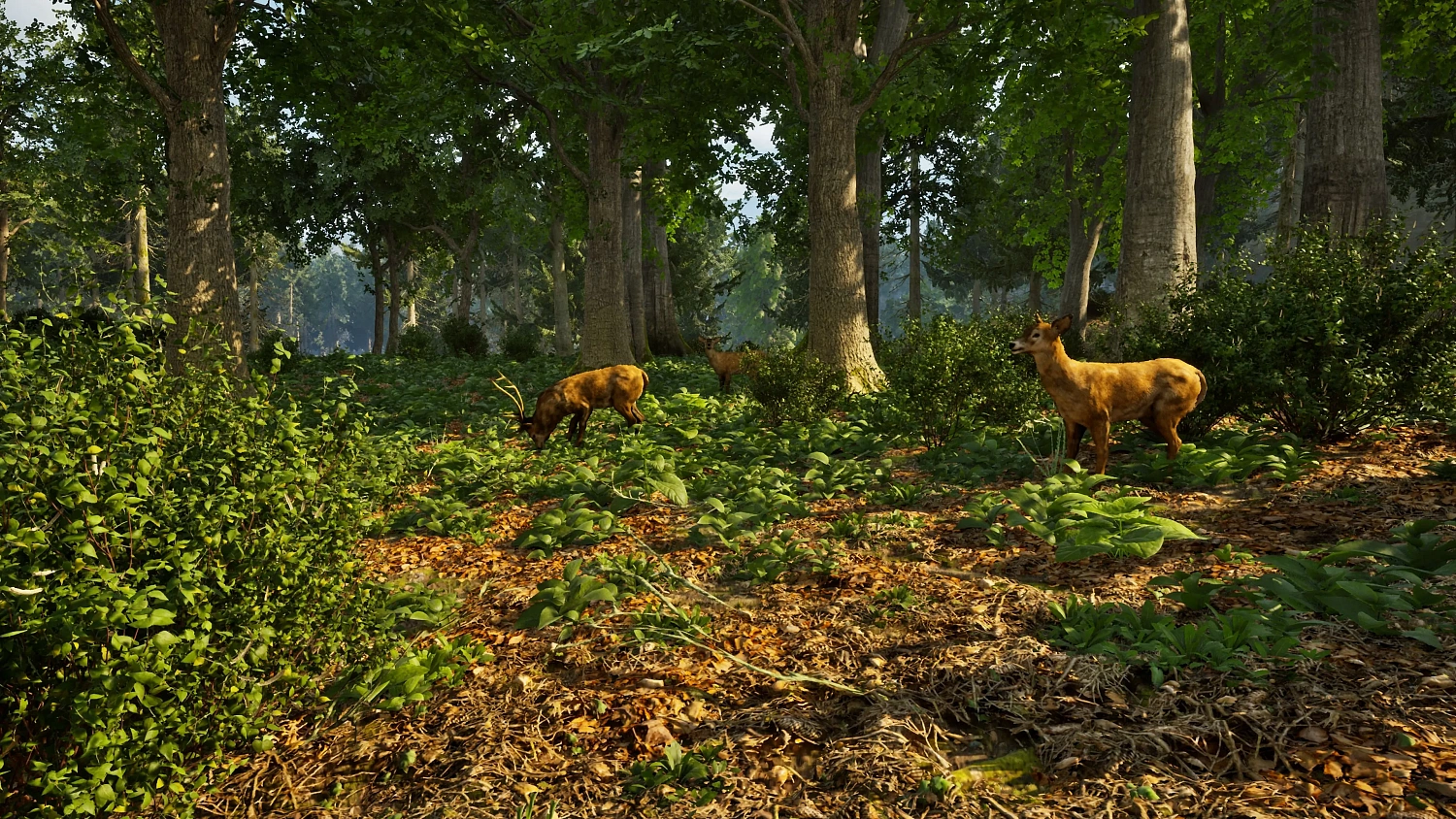 Park Ranger Simulator