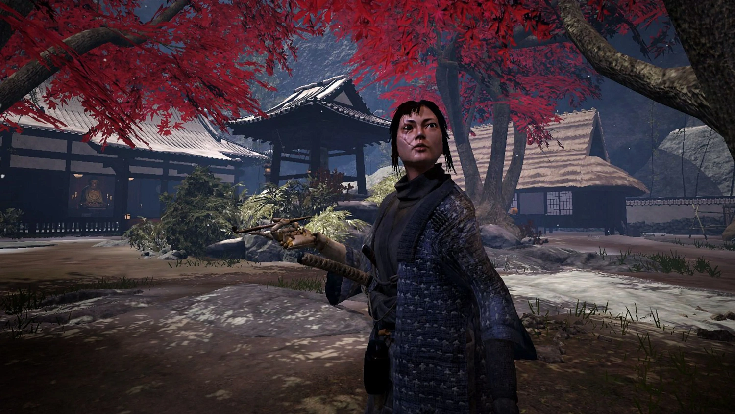 Arashi: Castles of Sin