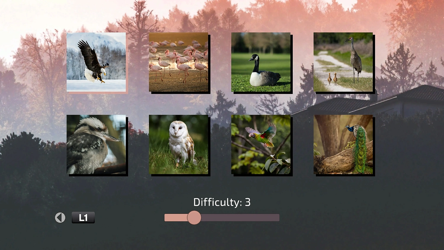 Shattered Frames 3: Skies Above