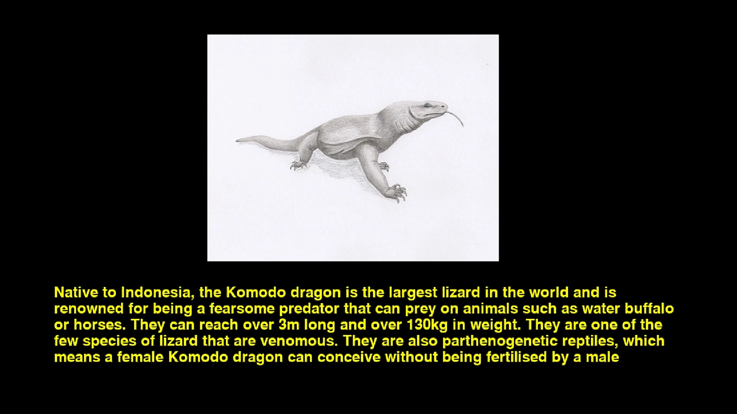 Quiz & Learn: Animals