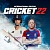 Cricket 22