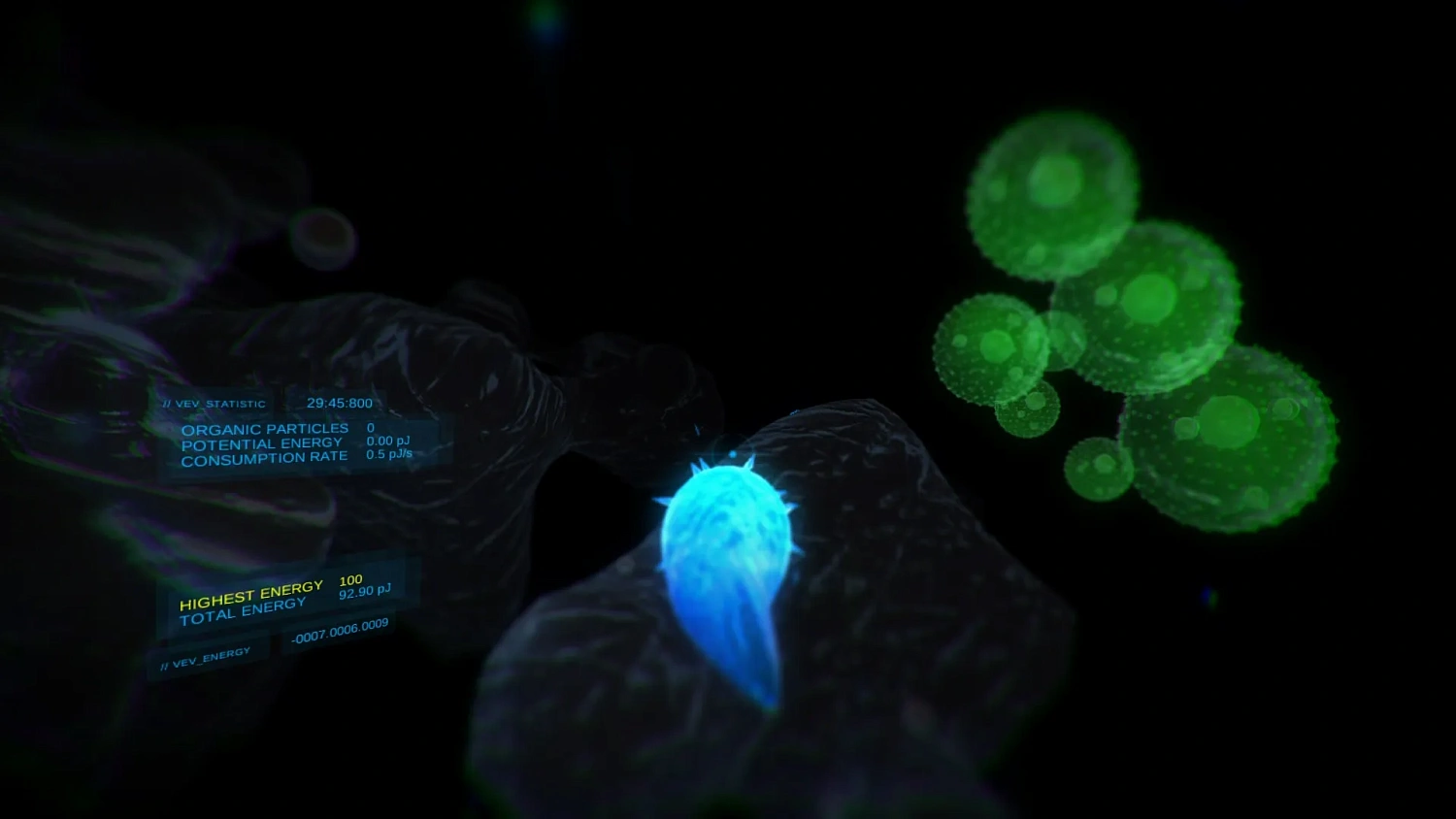 VEV: Viva Ex Vivo VR Edition