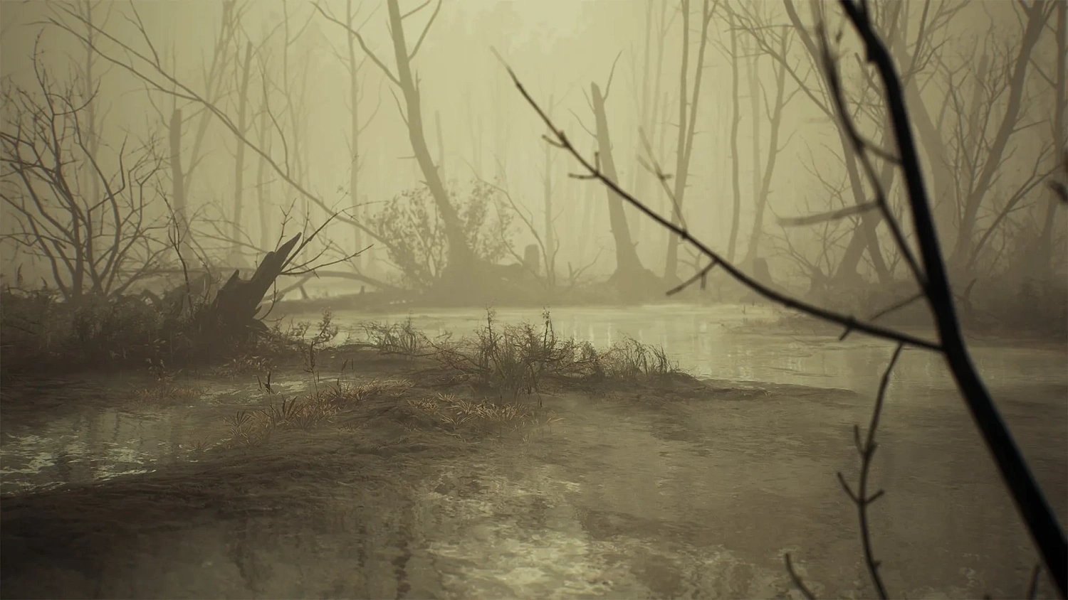 Blair Witch