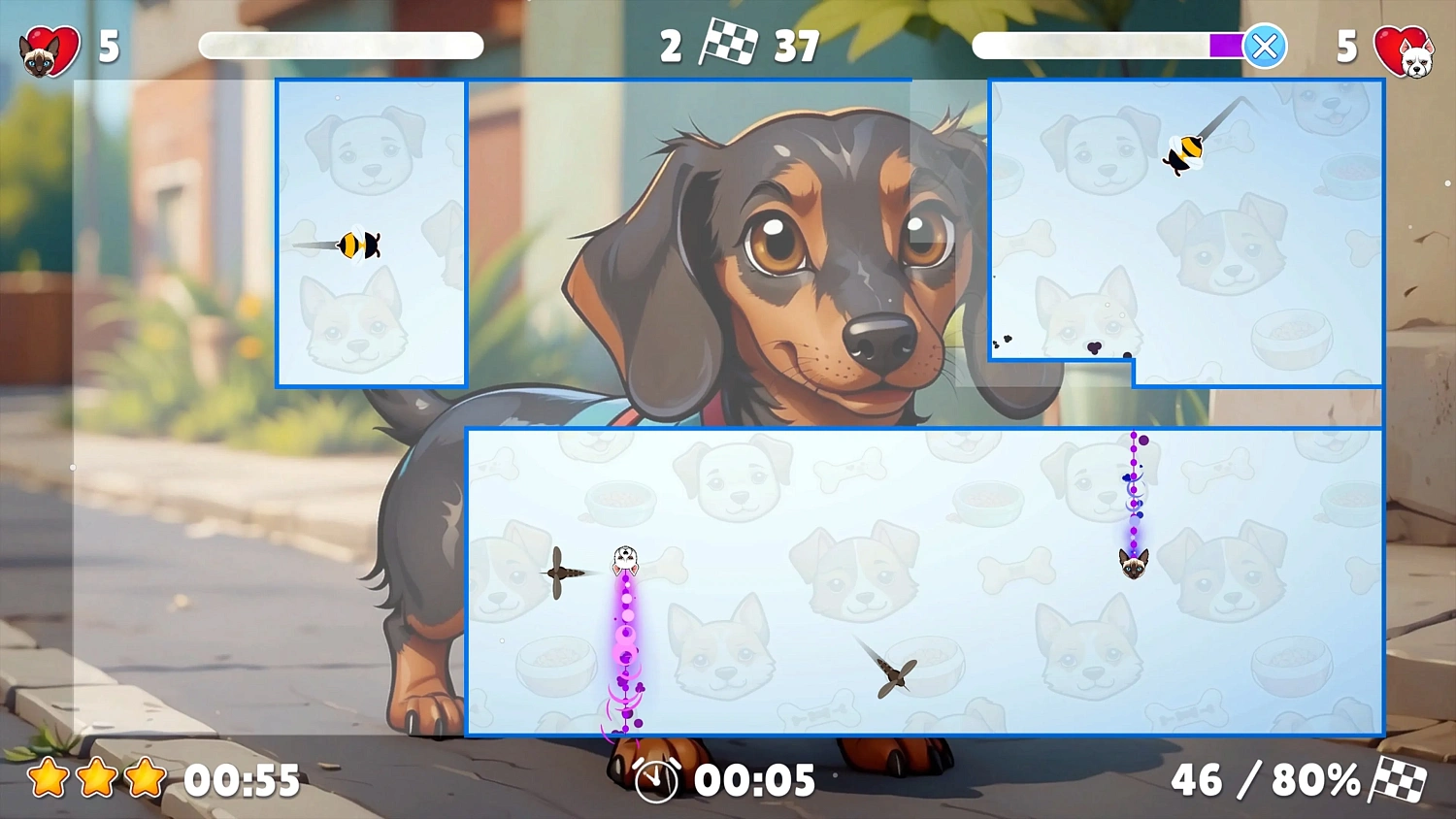 Pet Show