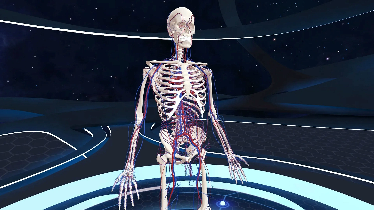 Human Anatomy VR