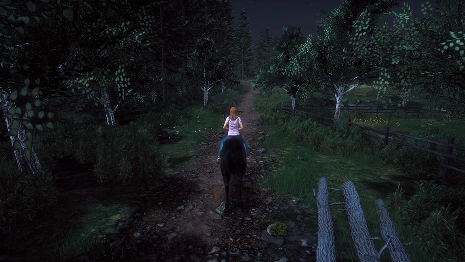 Windstorm: Start of a Great Friendship