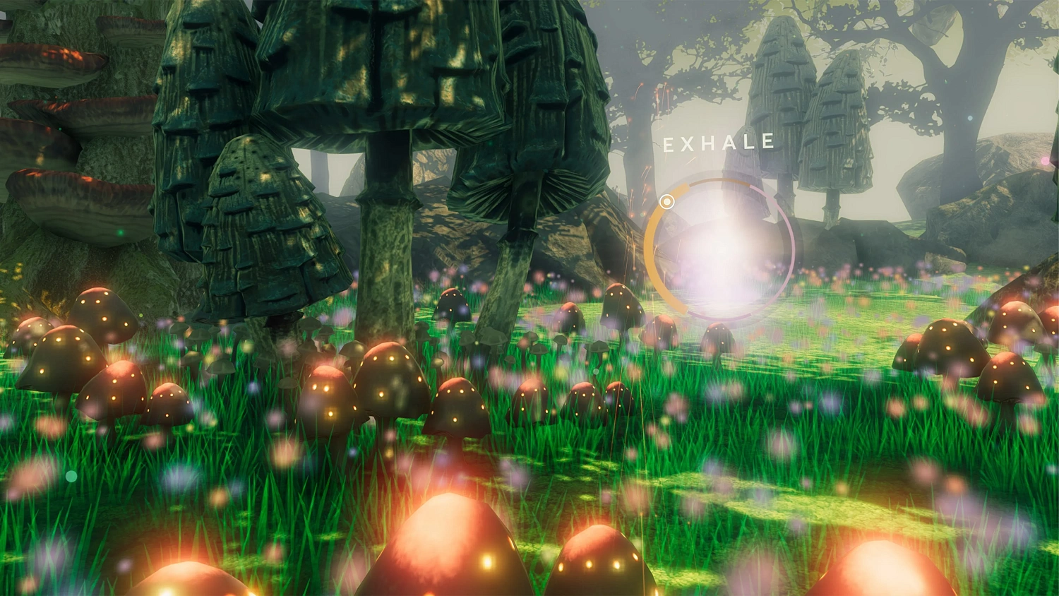 TRIPP: Una Nueva Forma de Meditar