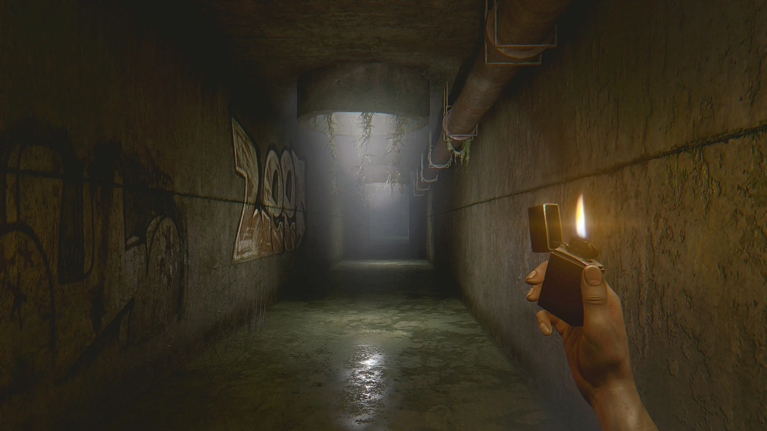 In rays of the Light