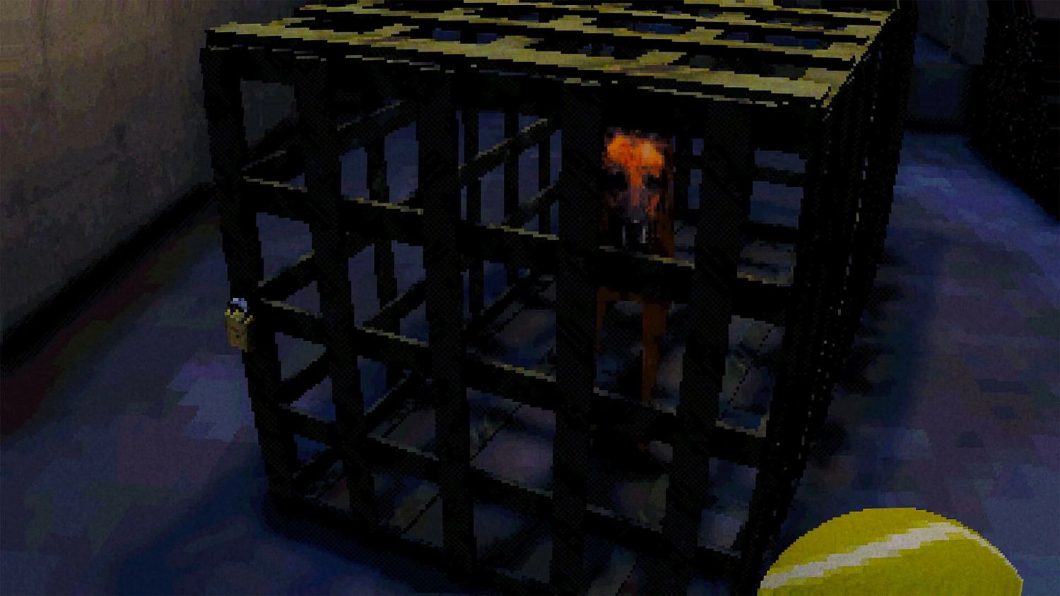 Canine