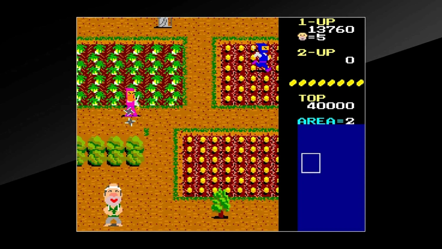 Arcade Archives Ikki