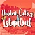 Hidden Cats in Istanbul