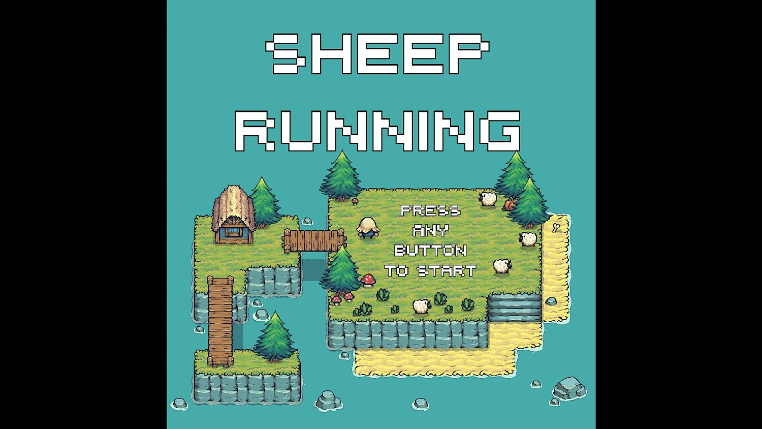 SHEEP RUNNING