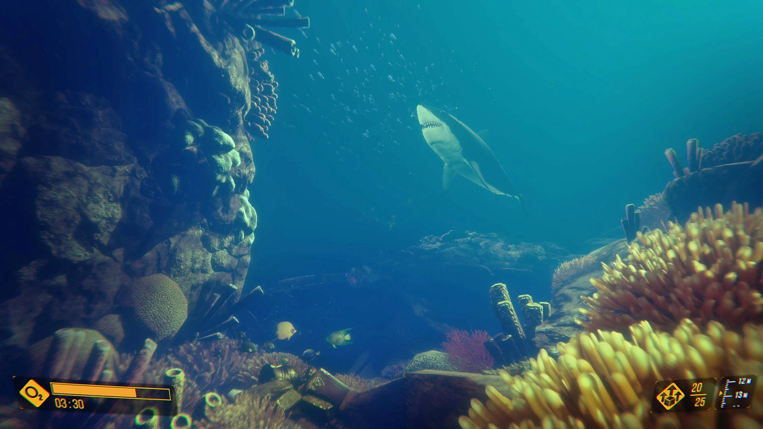 Deep Diving Adventures