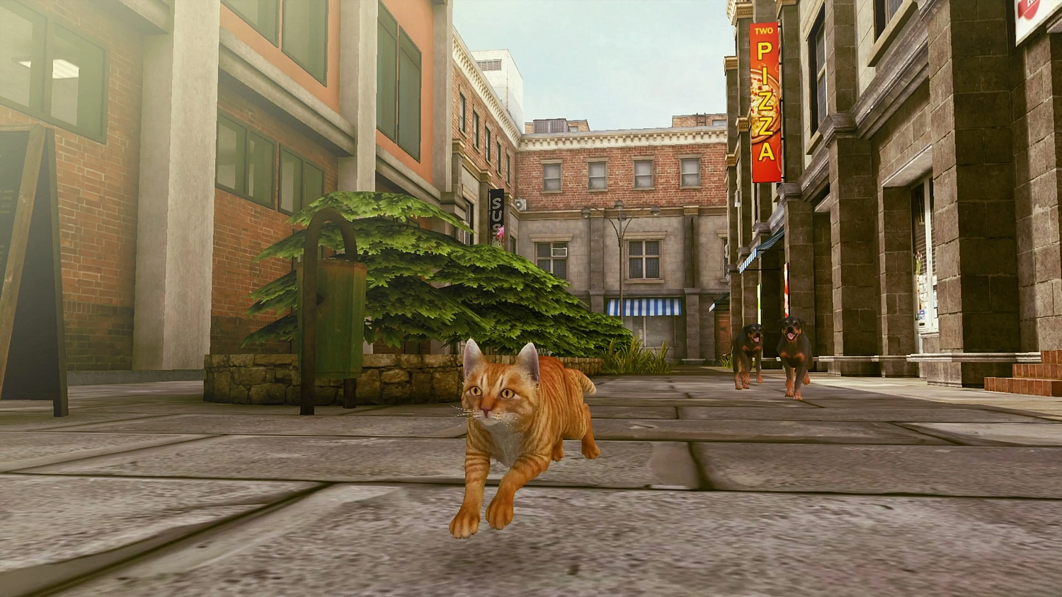 Little Strays 2