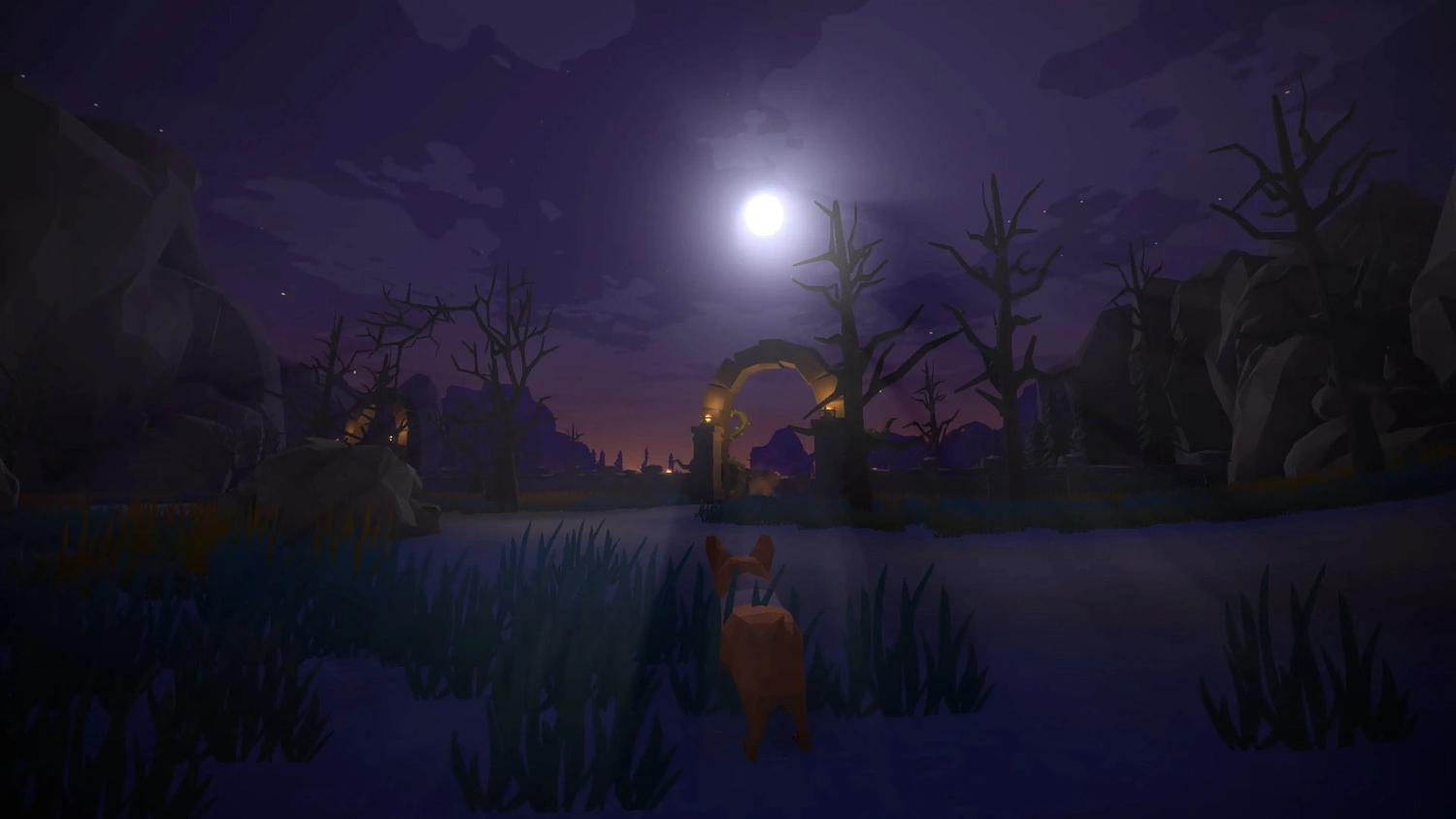 My Lovely Dog Adventure