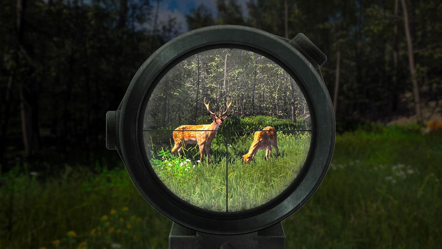Wild Hunter: Sniper Rifle Adventures Simulator