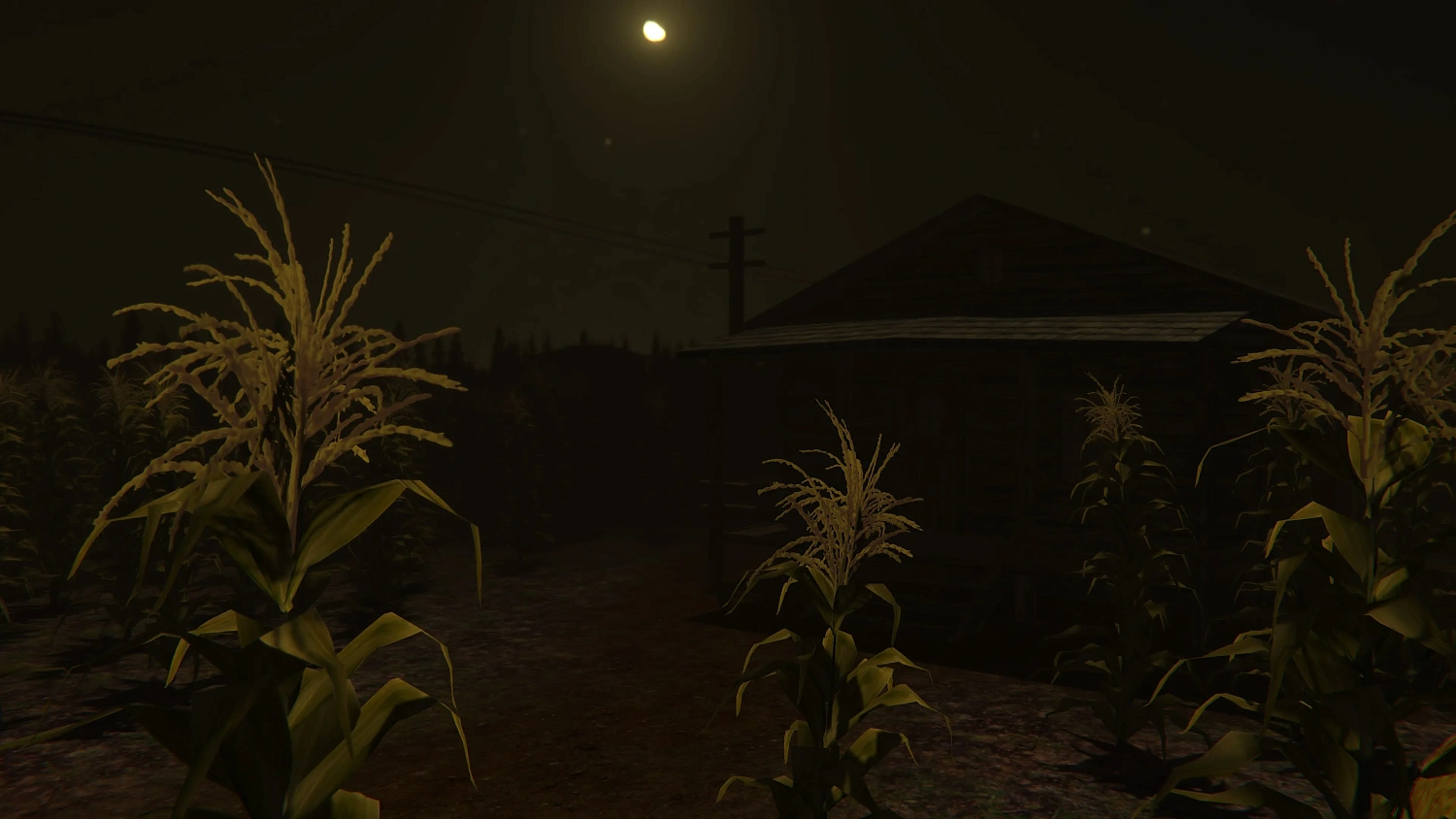 Cornfield
