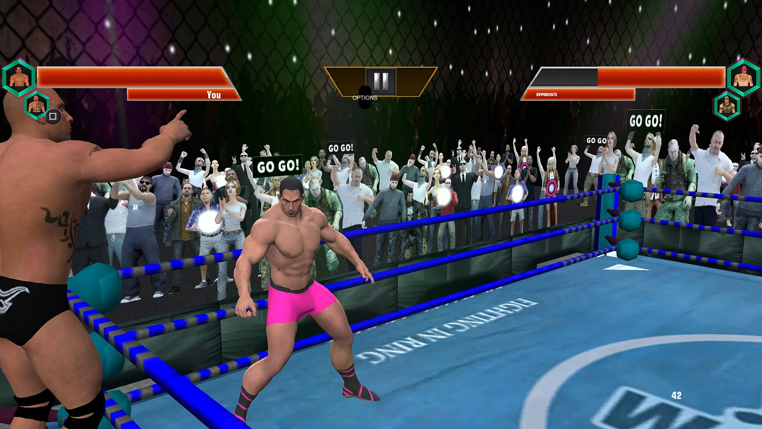Extreme Wrestling