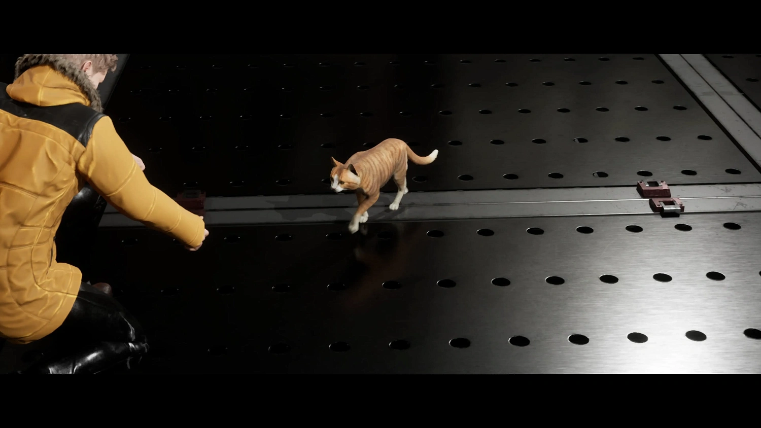 FALLEN : FATAL FORCE