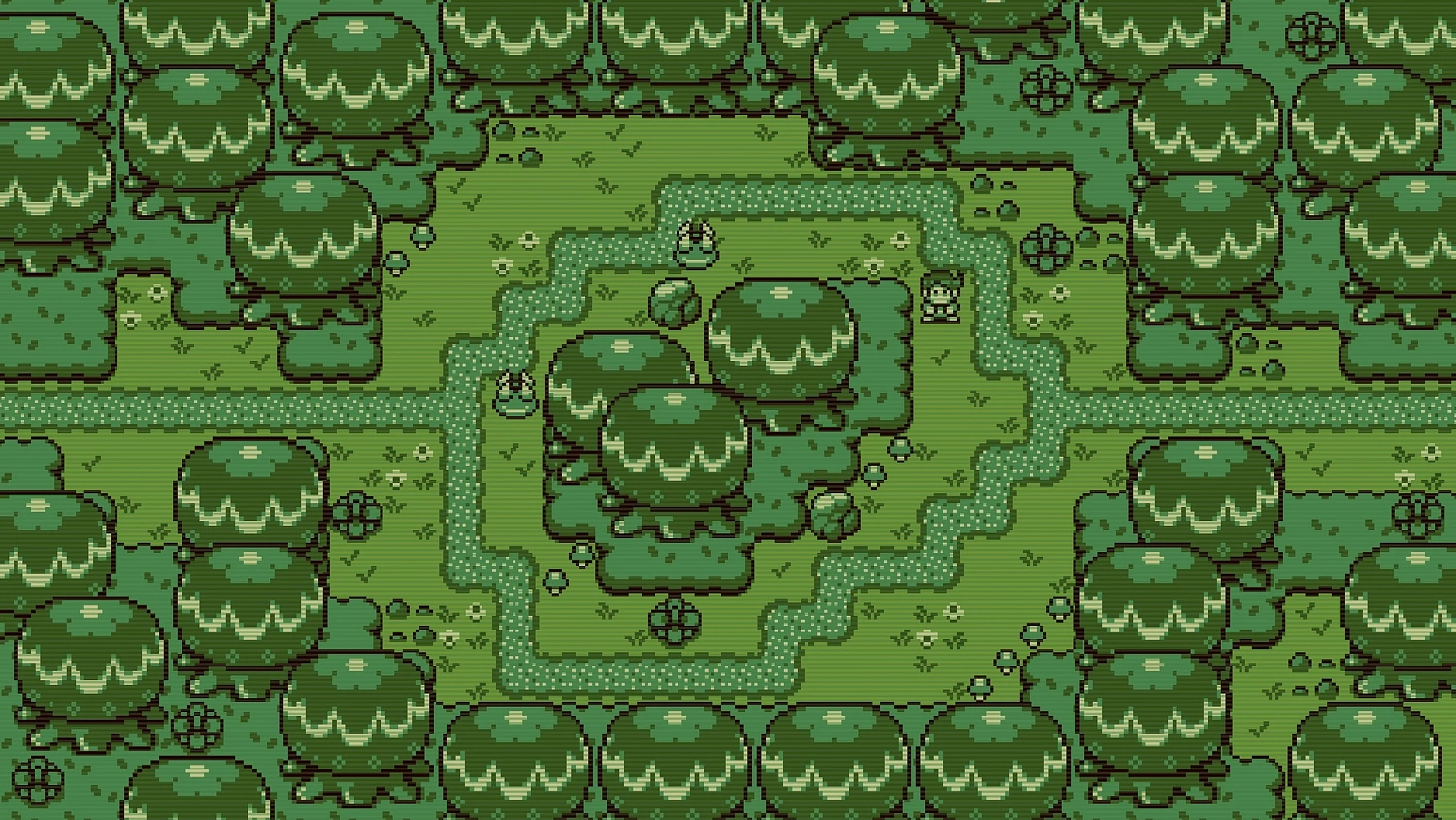 Timothy and the Mysterious Forest