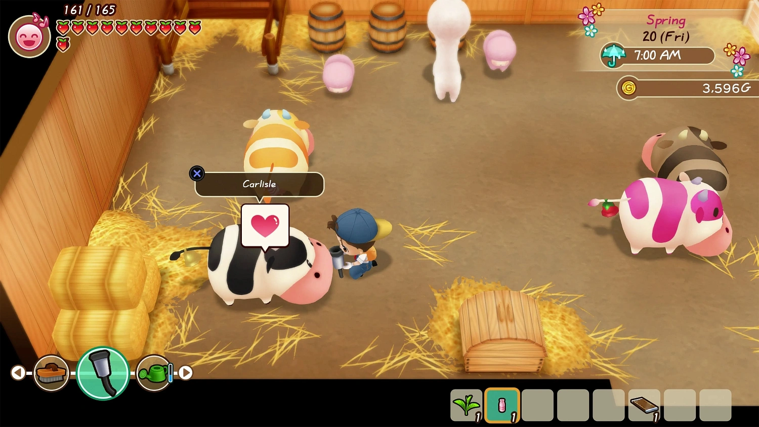 STORY OF SEASONS: Friends of Mineral Town