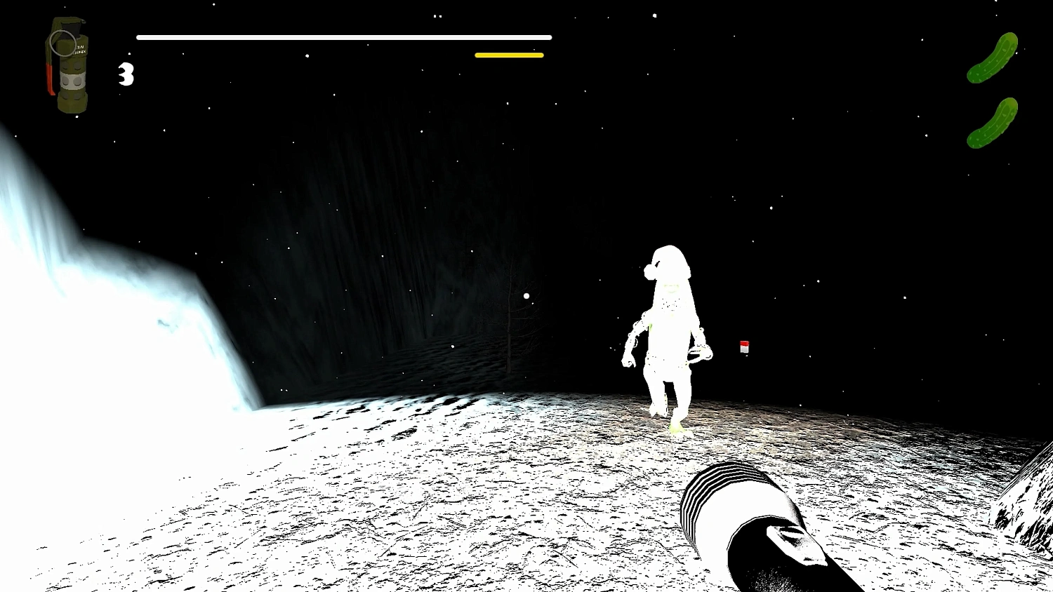 The Christmas Pickle