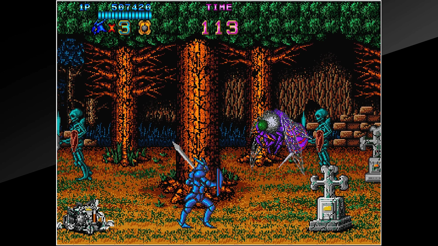 Arcade Archives CASTLE OF DRAGON