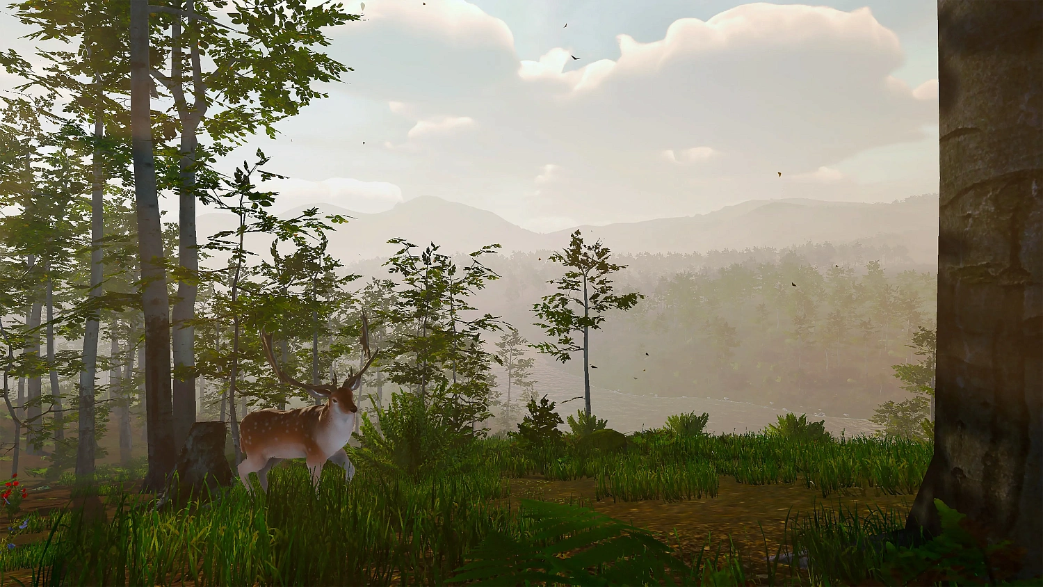 Virtual Hunter