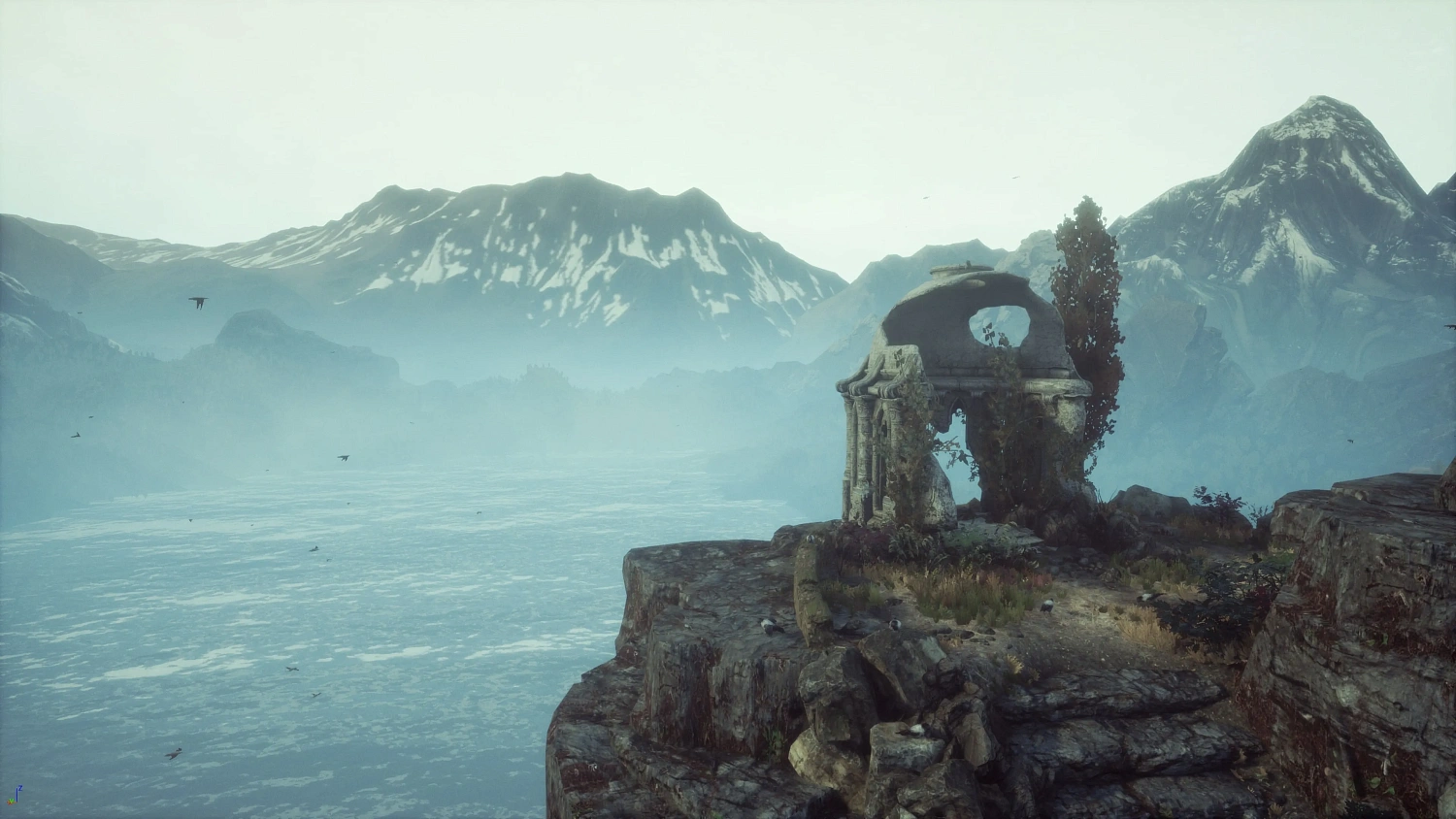 The Dead Tree of Ranchiuna