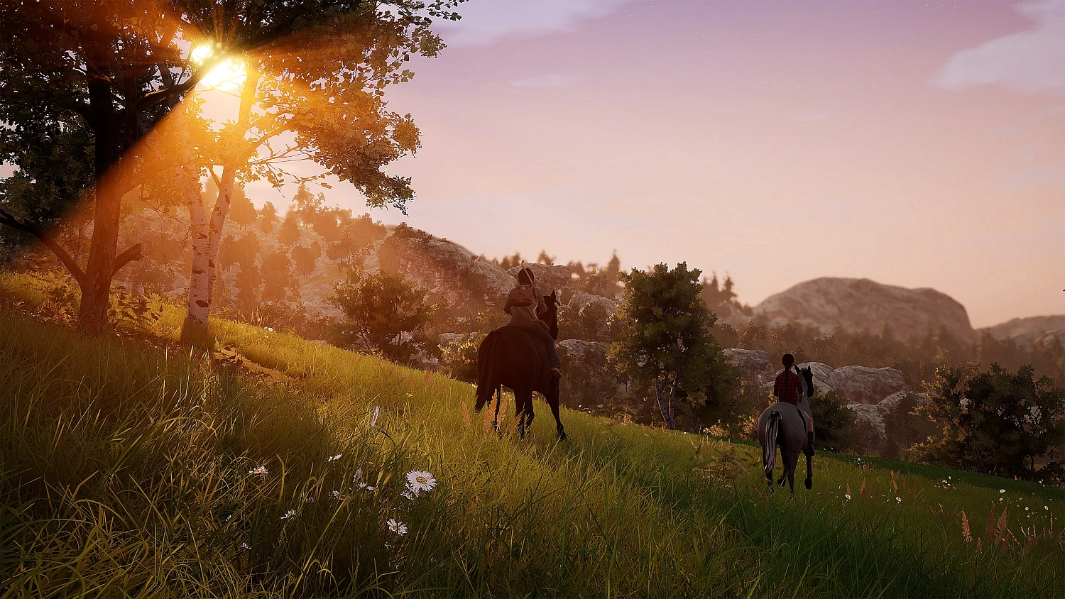 Windstorm: An Unexpected Arrival