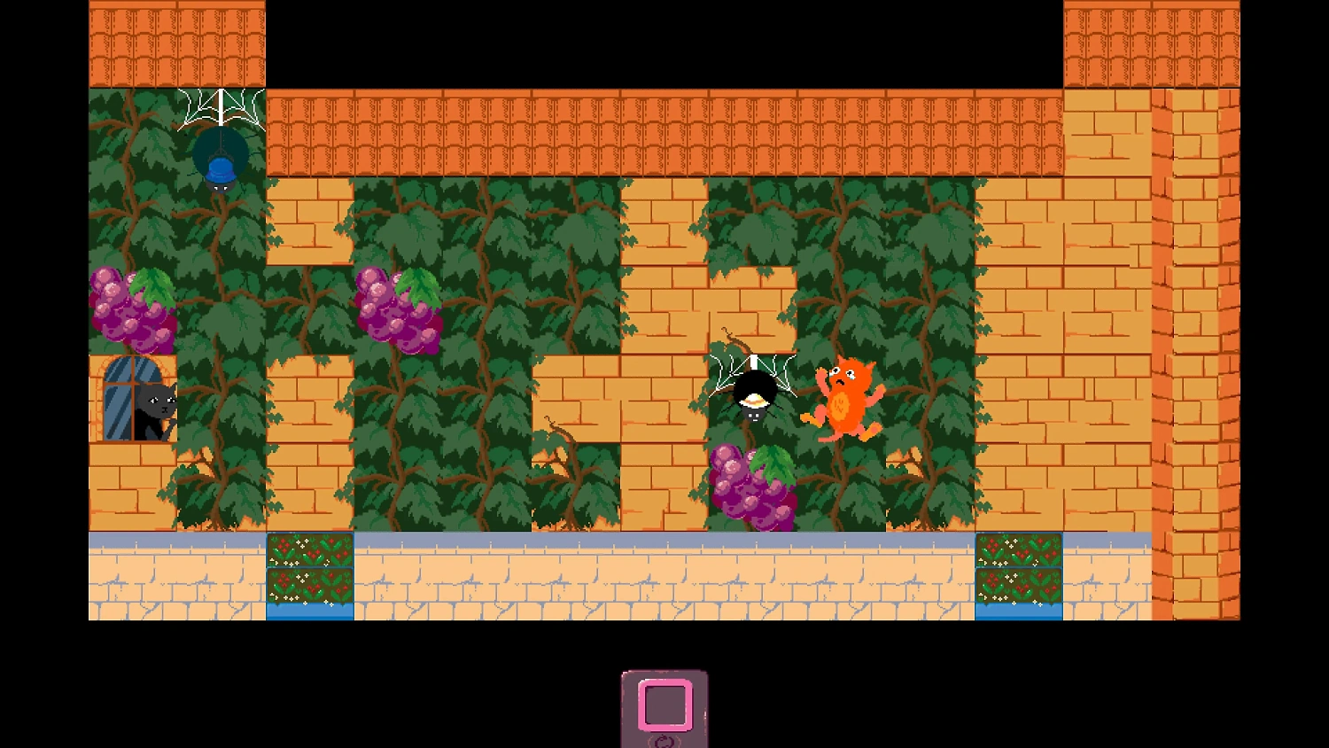 Kitty Krawler