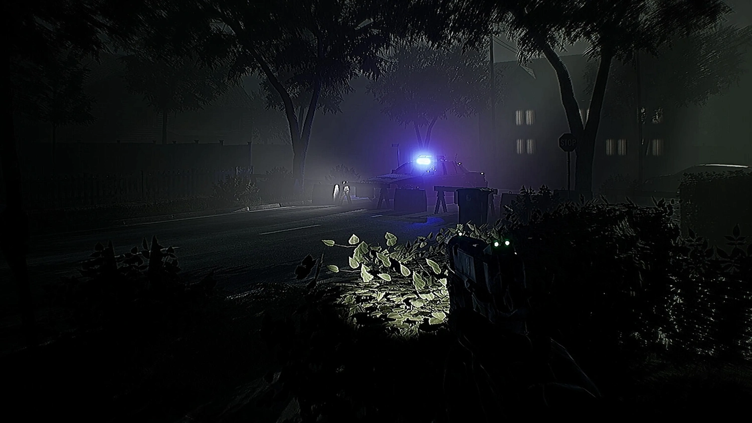 Amber Alert Director's cut