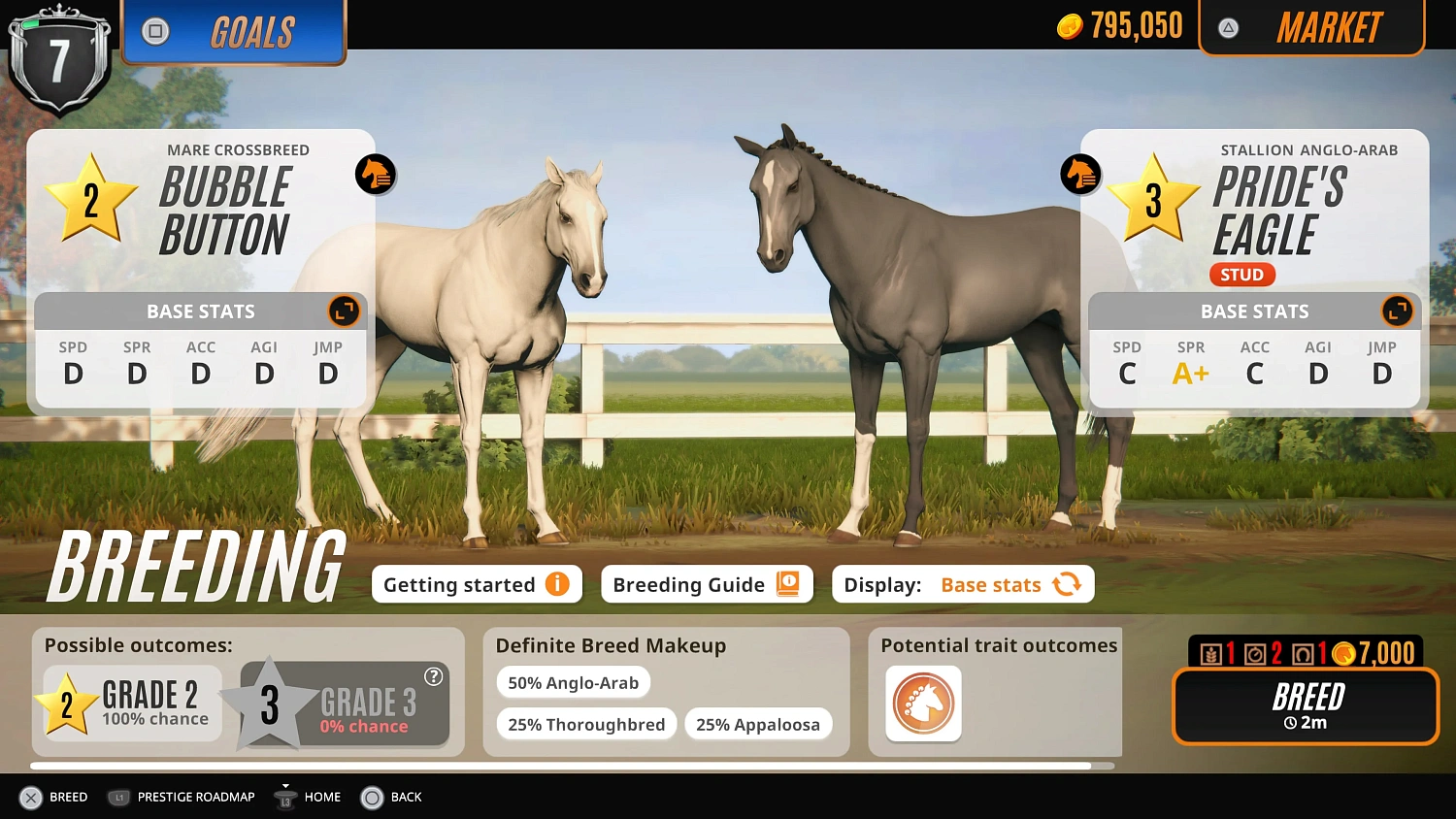 Rival Stars Horse Racing