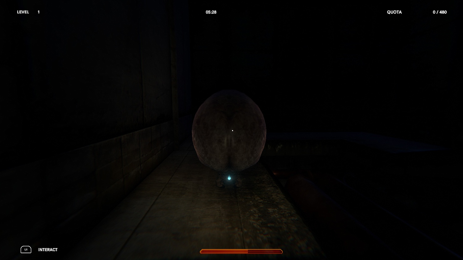 A Blackout Protocol Report