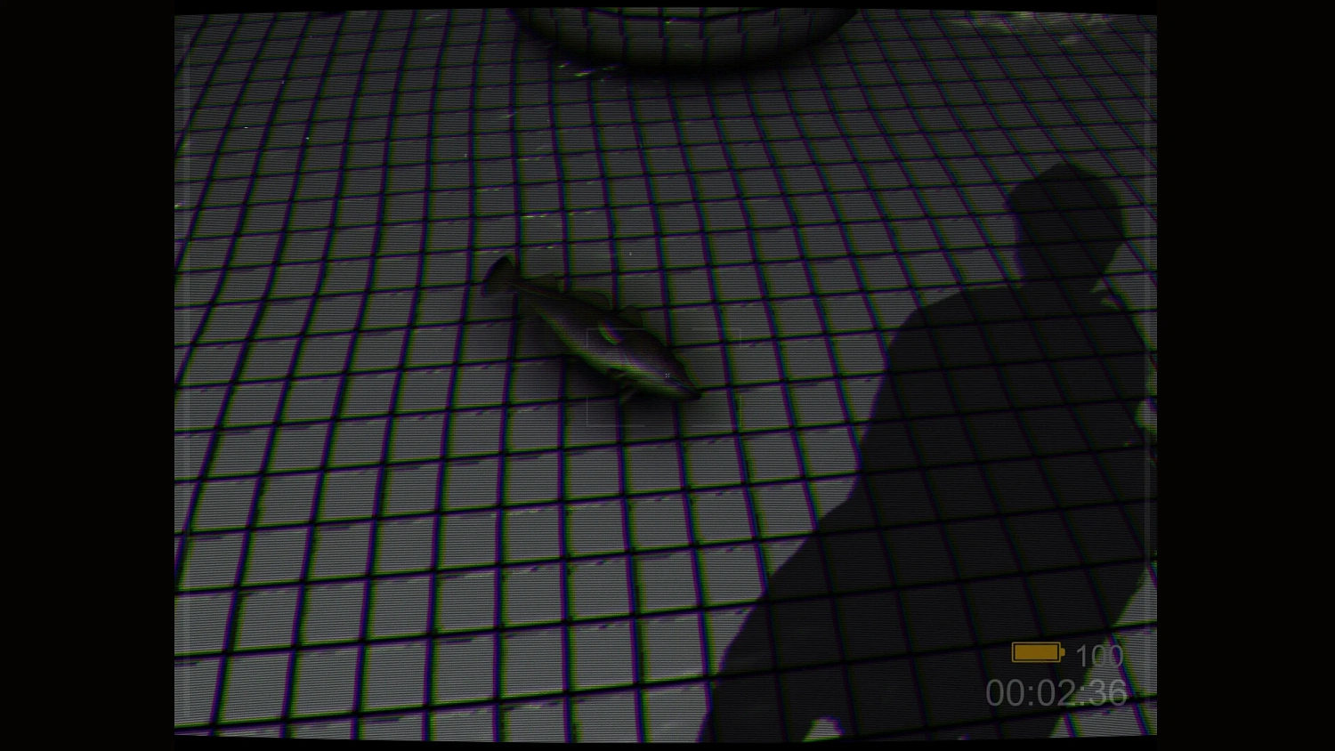 Backrooms: Poolrooms